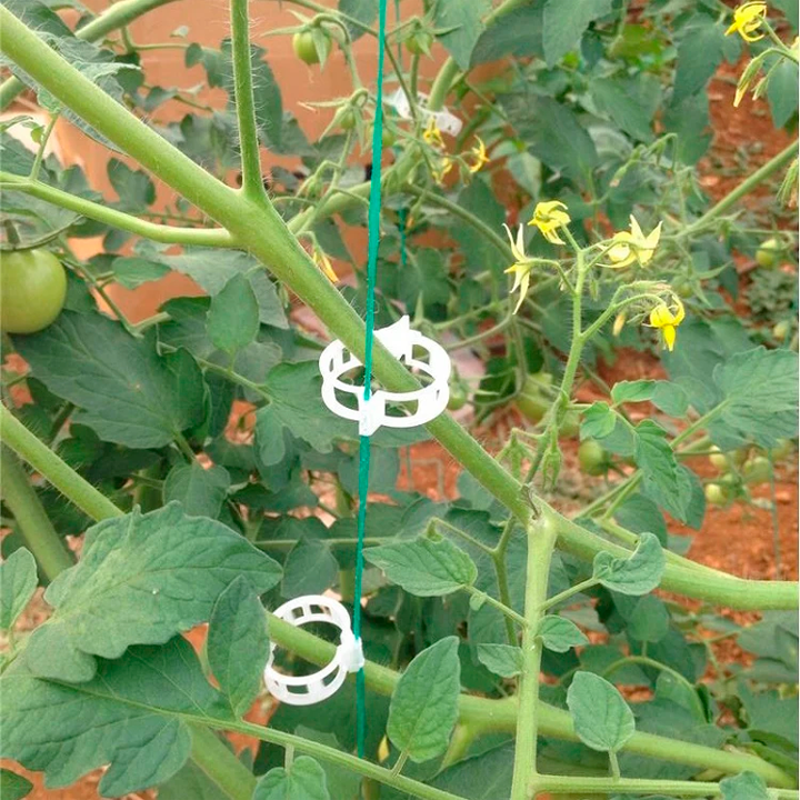 BOLSA DE CLIPS DE SOPORTE PARA PLANTAS Y TALLOS / PAGO CONTRA ENTREGA