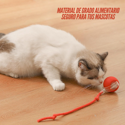 2 JUGUETES INTERACTIVOS PARA MASCOTAS / PAGO CONTRA ENTREGA