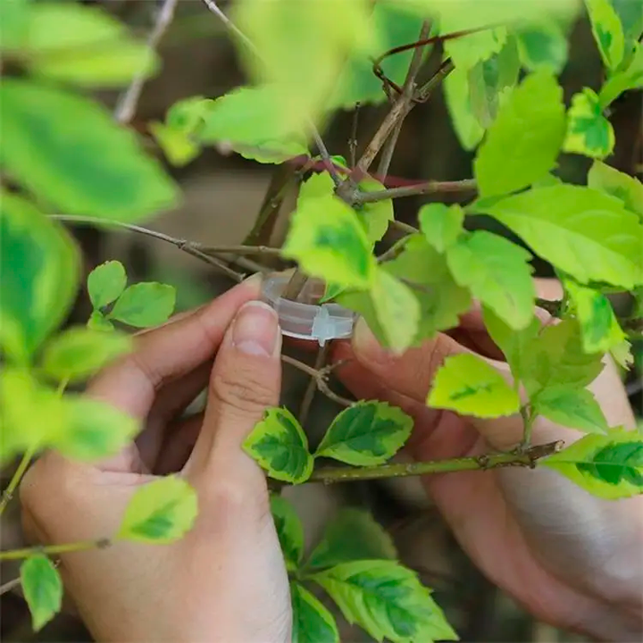 BOLSA DE CLIPS DE SOPORTE PARA PLANTAS Y TALLOS / PAGO CONTRA ENTREGA