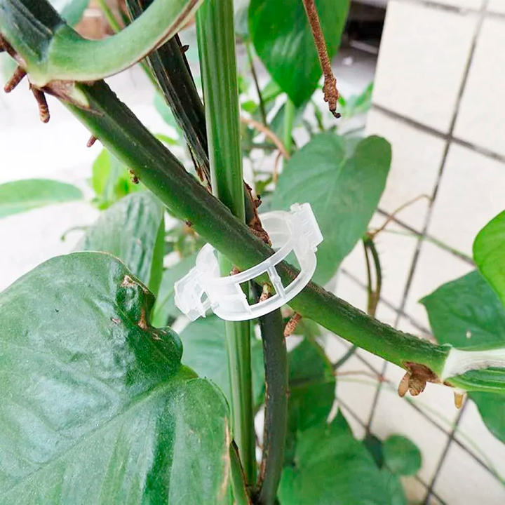 BOLSA DE CLIPS DE SOPORTE PARA PLANTAS Y TALLOS / PAGO CONTRA ENTREGA