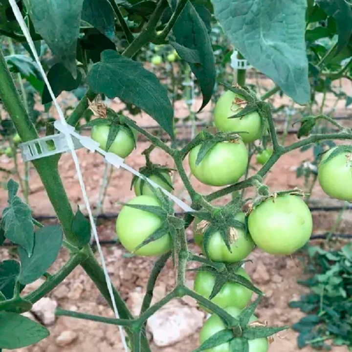 BOLSA DE CLIPS DE SOPORTE PARA PLANTAS Y TALLOS / PAGO CONTRA ENTREGA