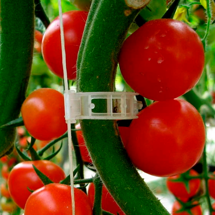 BOLSA DE CLIPS DE SOPORTE PARA PLANTAS Y TALLOS / PAGO CONTRA ENTREGA