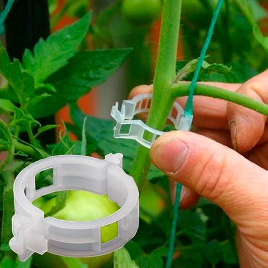 BOLSA DE CLIPS DE SOPORTE PARA PLANTAS Y TALLOS / PAGO CONTRA ENTREGA